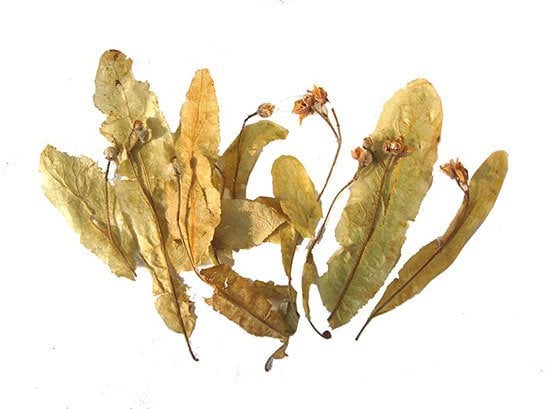 Yapraklı Kurutulmuş Ihlamur 50 g