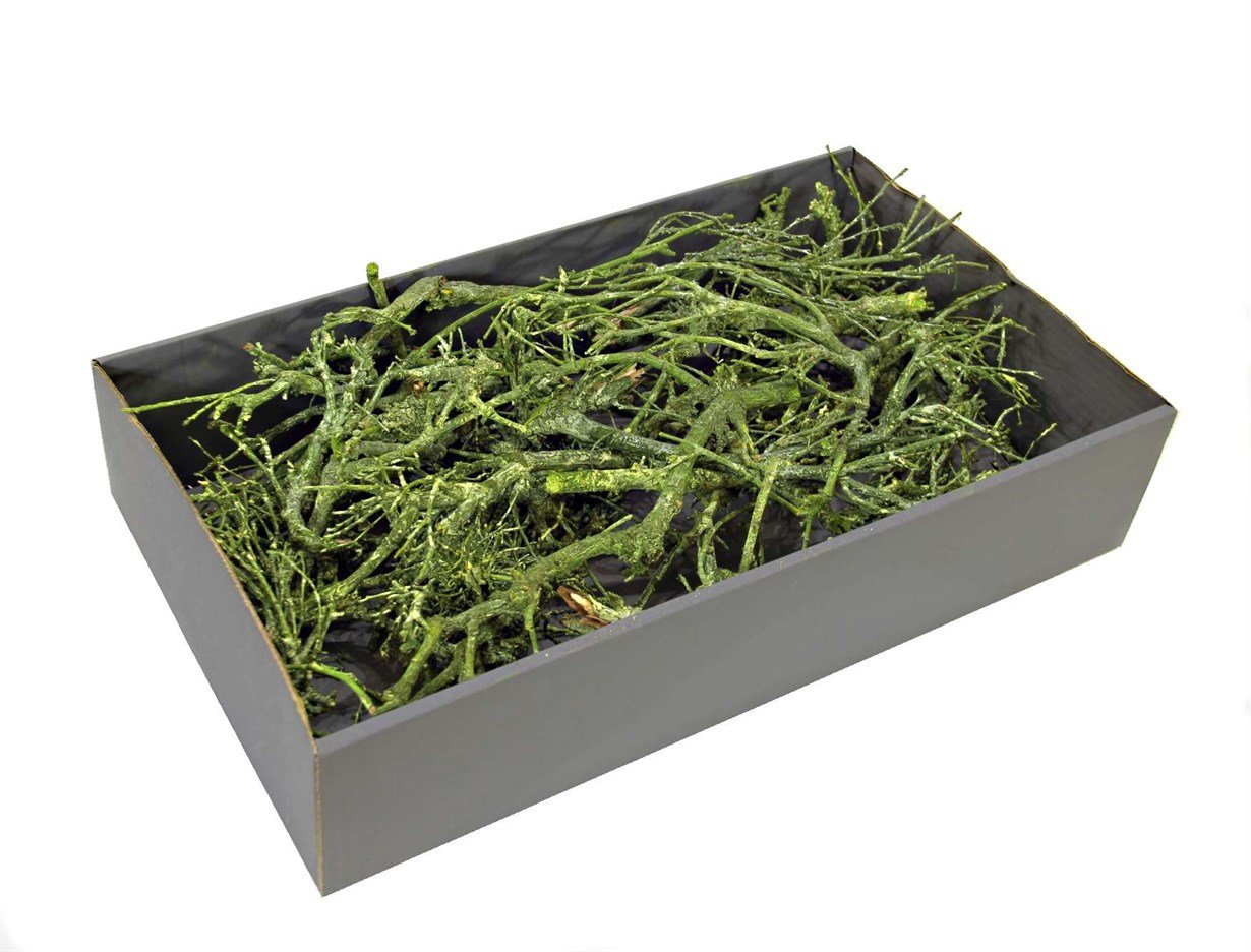 Meşe Dalı Kurutulmuş Yeşil 100 g