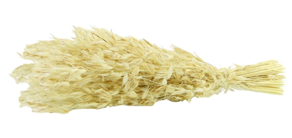 Kuru Çiçek Kurutulmuş Yulaf Demeti Naturel