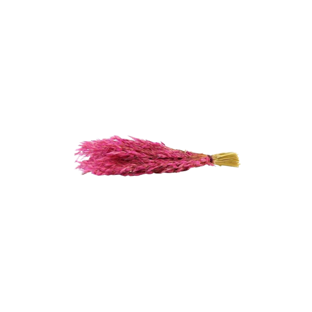 Kuru Çiçek Kurutulmuş Yulaf Demeti Pembe