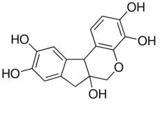 Mayer Hematoxylin Hematoxylin Solution 1 lt