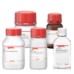 Mayer Hematoxylin Hematoxylin Solution 1 lt