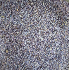Purple Shell Sand 100 g