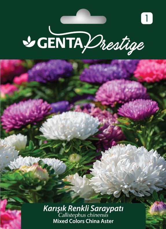 Karışık Renkli Saray Patı Çiçek Tohumu