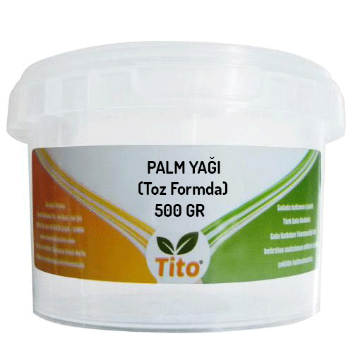Palm Palmiye Yağı Toz Formda 500 g