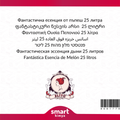Fantastik Kavun Esansı 25 litre