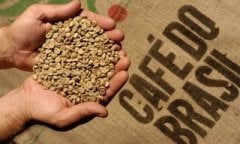 Brezilya Peaberry Moka 12 Up Arabica Çiğ Kahve Çekirdeği 100 g
