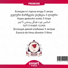 Premium Dağ Çileği Esansı 5 litre