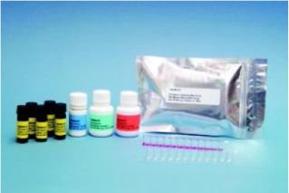Kit de prueba Veratox Fumoniz