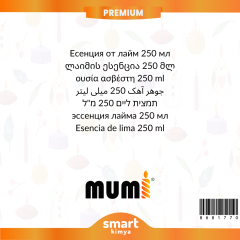 Premium Misket Limonu Mum Esansı 250 ml