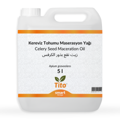 Kereviz Tohumu Maserasyon Yağı Apium graveolens 5 litre