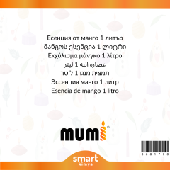 Mango Mum Esansı 1 litre