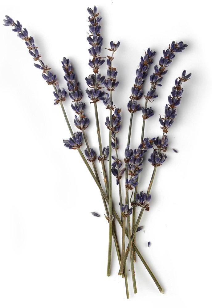 Karabaş Otu 100 g