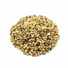 Mahlep Tane 100 g