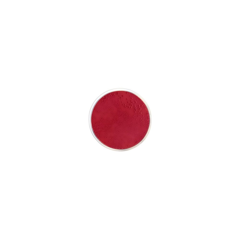 Columbia Blood Agar Base 500 g