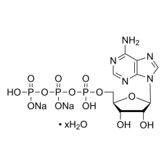 Adenozin Trifosfat 10 g