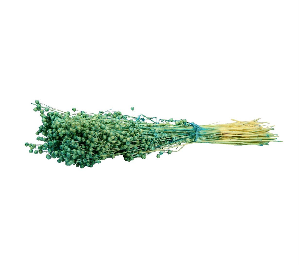 Dried Flower Dried Luna Green