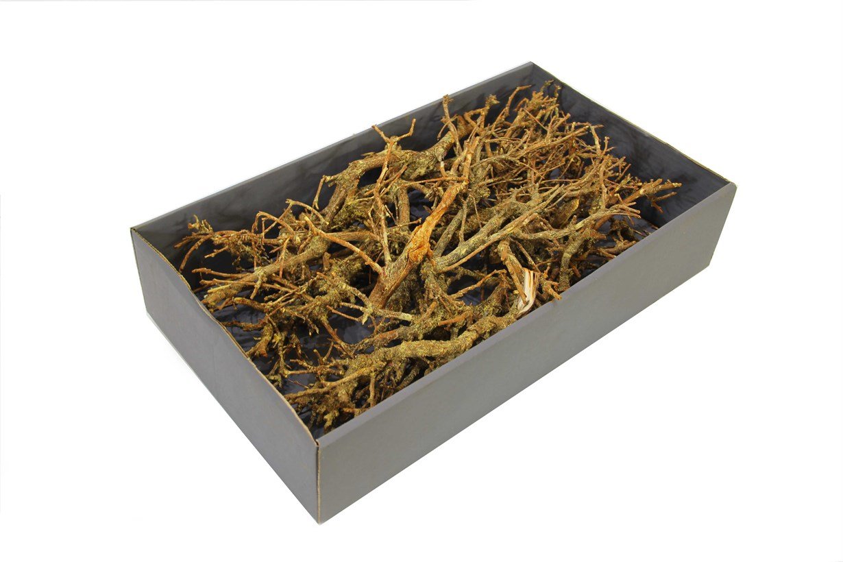 Meşe Dalı Kurutulmuş Turuncu 100 g