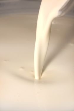 Endüstriyel Ayran Kültürü 10 unite x 1 adet