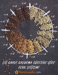 Brezilya Rio Minas Es Nicchio Sobrinho Arabica Çiğ Kahve Çekirdeği 100 g
