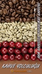 Brezilya Rio Minas Infinito Arabica Çiğ Kahve Çekirdeği 100 g