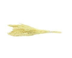 Kuru Çiçek Kurutulmuş Bulgur Otu Demeti 100 g
