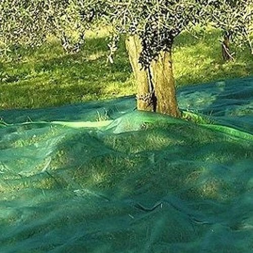 Hasat (Zeytin, Dut, Kayısı) Toplama Filesi 6x5 m