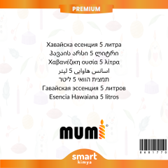 Premium Hawaii Mum Esansı 5 litre