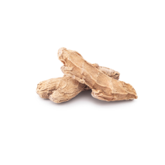 Kök Zencefil 1 kg