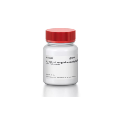 L-Name 250 mg