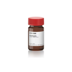 Melatonin 250 mg