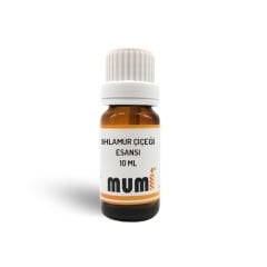 Premium Ihlamur Çiçeği Mum Esansı 10 ml