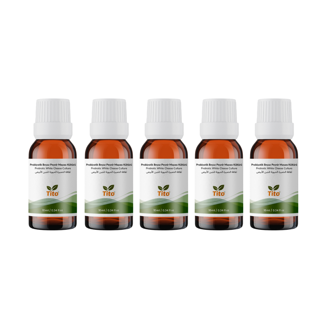 Probiyotik Beyaz Peynir Mayası Kültürü 10 g 5 adet