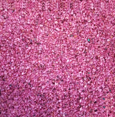 Koyu Pembe Deniz Kabuğu Kumu 100 g