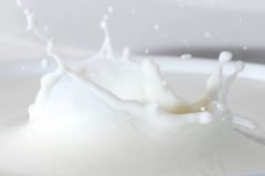 Koyun Sütü Aroması 10 ml