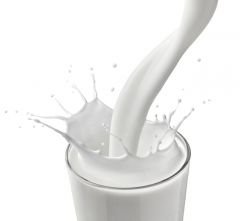 Koyun Sütü Aroması 10 ml